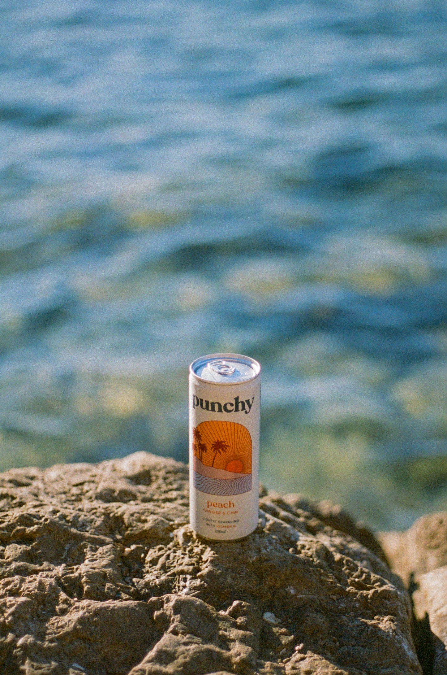 Peach, Ginger & Chai