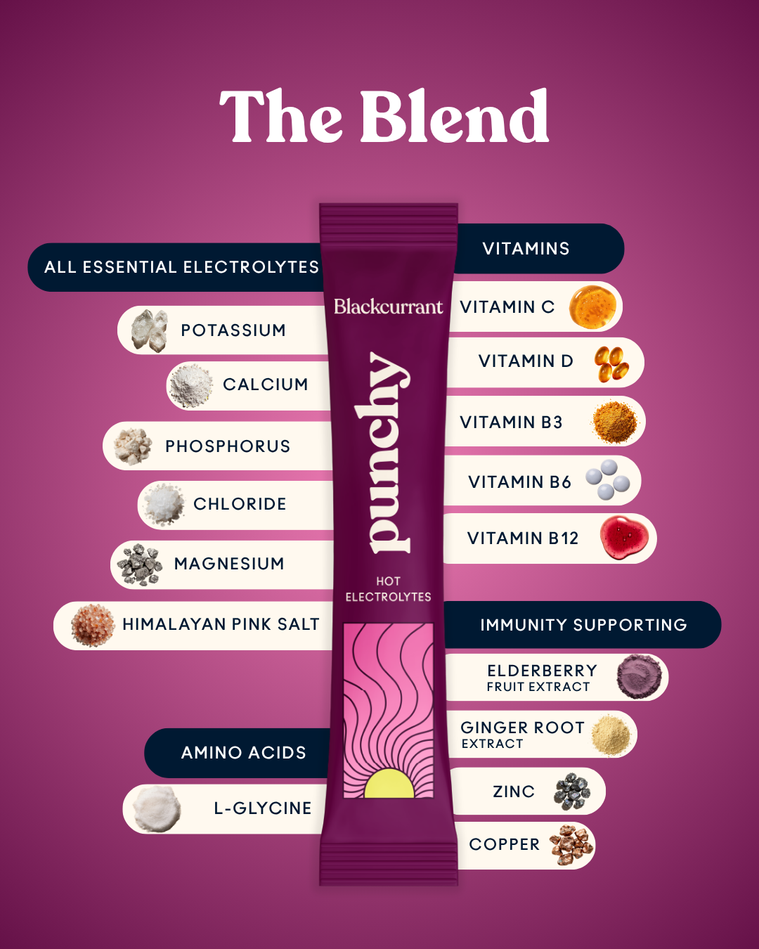 Hot Electrolytes + Immunity - Blackcurrant
