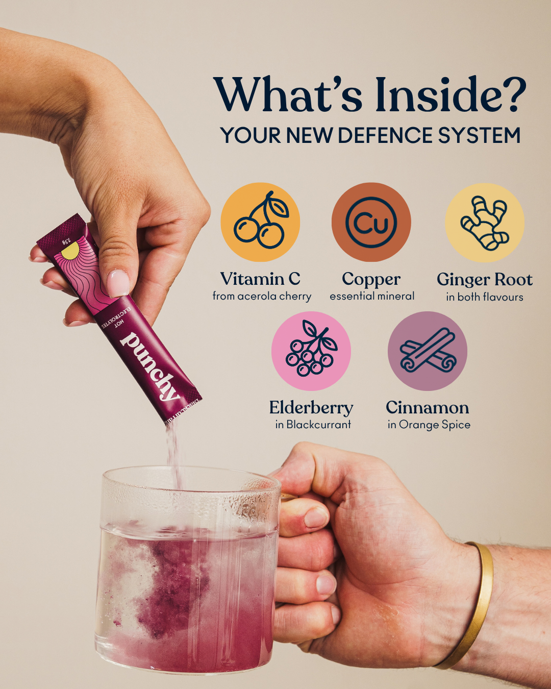 Hot Electrolytes + Immunity - Blackcurrant