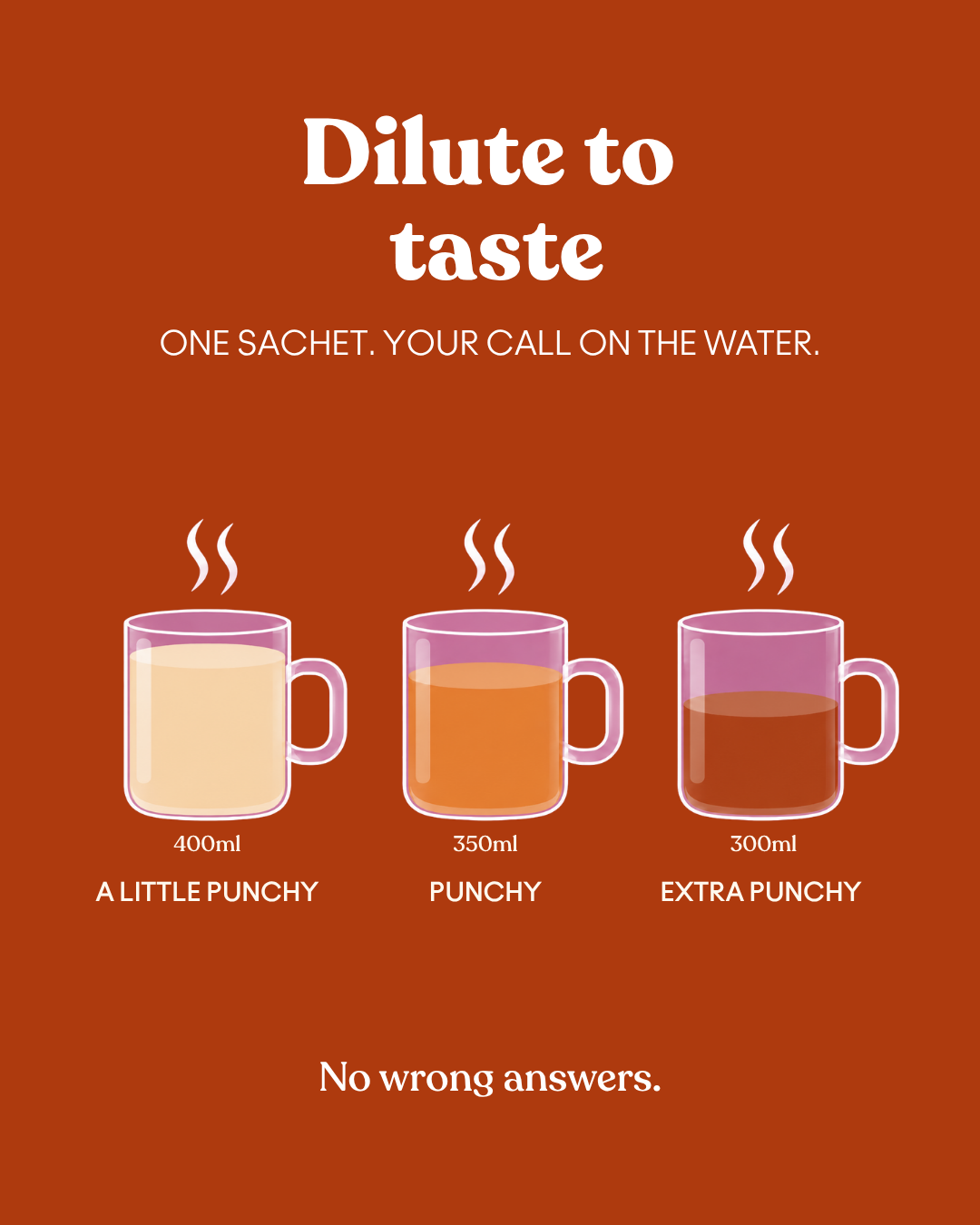 Hot Electrolytes + Immunity - Orange Spice