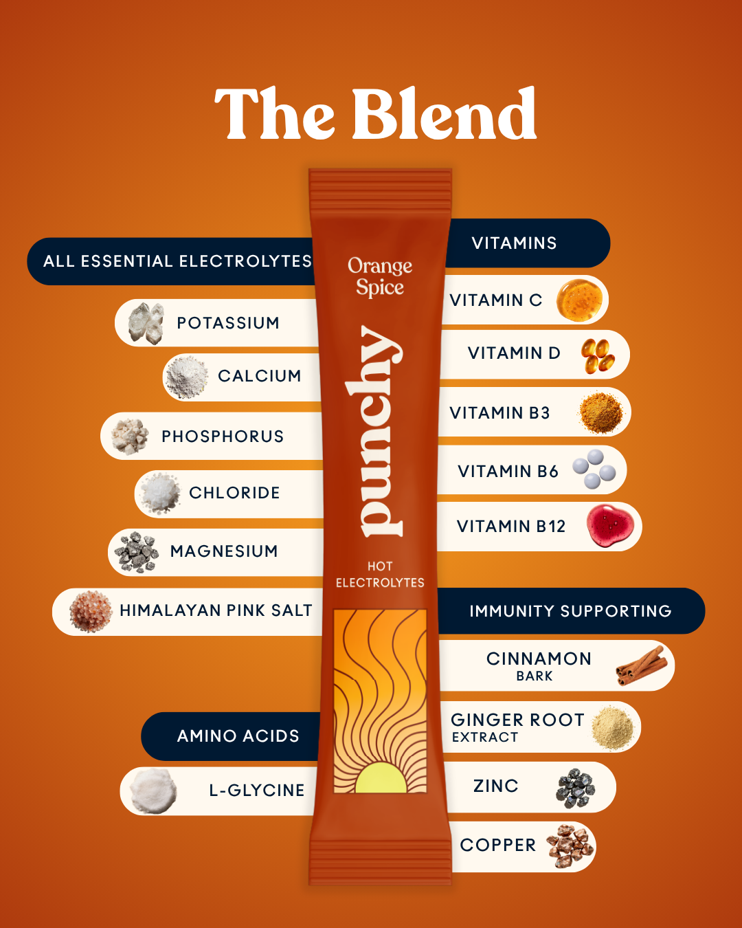 Hot Electrolytes + Immunity - Orange Spice